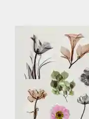 Бордовый наклейки для маникюра ногтей, слайдеры