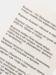 Светло-коричневый развивающие карточки по методике Г. Домана для детей, 12 карт, А6, 3+