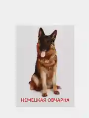 Пурпурный развивающие карточки по методике Г. Домана для детей, 10 карт, А6, 2+
