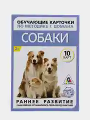 Пурпурный развивающие карточки по методике Г. Домана для детей, 10 карт, А6, 2+
