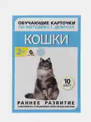 Серый металлик развивающие карточки по методике Г. Домана для детей, 10 карт, А6, 2+