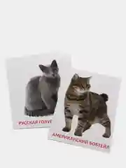 Серый металлик развивающие карточки по методике Г. Домана для детей, 10 карт, А6, 2+
