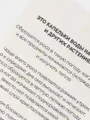 Горчичный развивающие карточки по методике Г. Домана для детей, 12 карт, А6, 3+