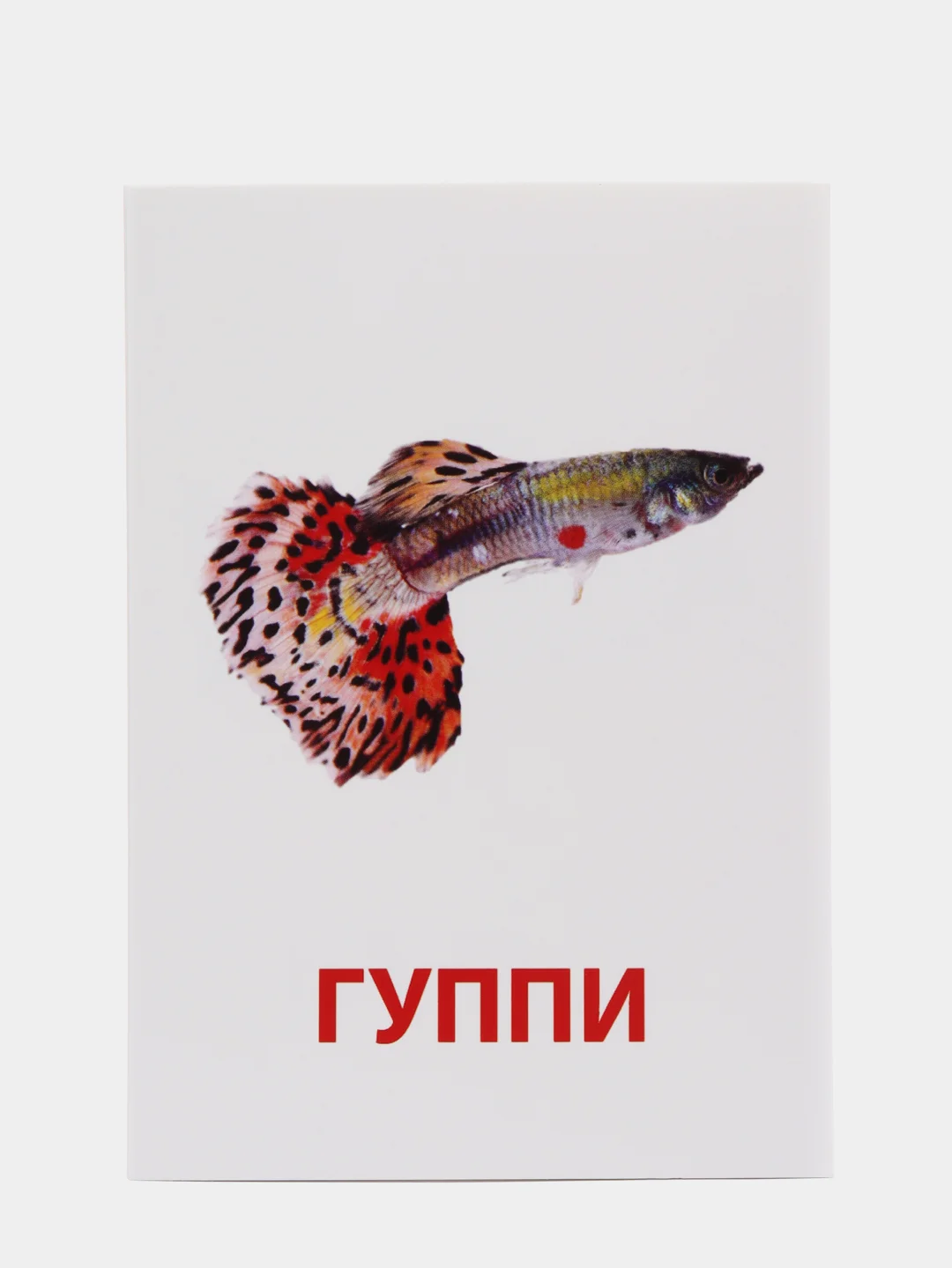 Карамельный развивающие карточки по методике Г. Домана для детей, 10 карт, А6, 2+