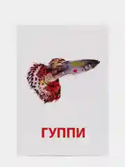 Карамельный развивающие карточки по методике Г. Домана для детей, 10 карт, А6, 2+
