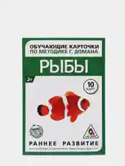 Карамельный развивающие карточки по методике Г. Домана для детей, 10 карт, А6, 2+