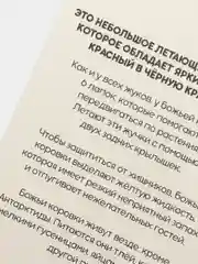 Индиго развивающие карточки по методике Г. Домана для детей, 12 карт, А6, 3+