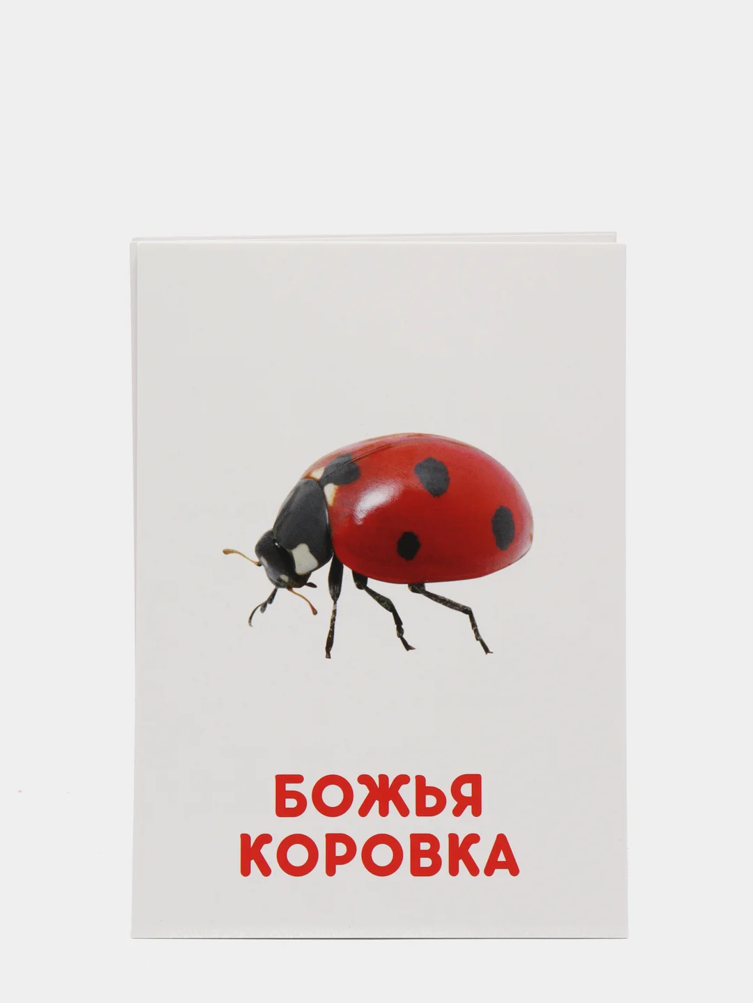 Индиго развивающие карточки по методике Г. Домана для детей, 12 карт, А6, 3+