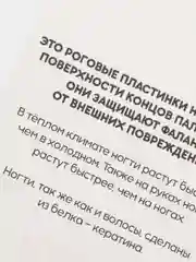 Зеленый развивающие карточки по методике Г. Домана для детей, 12 карт, А6, 3+