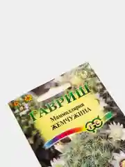 Семена цветов Кактус "Маммиллярия жемчужина"