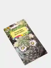 Семена цветов Кактус "Маммиллярия жемчужина"