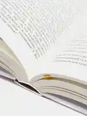 ЧИТАЙ-УММА / Книга "Торговля в исламе" ком-ии к сборнику хадисов "Основы правовых норм"