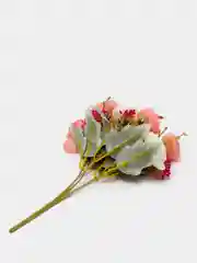 Кораллово-розовый композиция из камелий