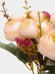 Пудровый композиция из камелий