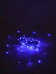 Гирлянда светодиодная AuraLight, электрическая, 100 LED, синий свет, шнур 10 м