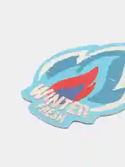 Ароматизатор Fire Fresh (Winter Fresh/Зимняя свежесть) AVS