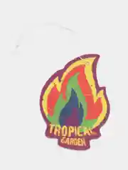 Ароматизатор Fire Fresh (Tropical garden/Тропический сад) AVS
