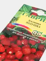 Земляника ремонтантная Золушка, семена