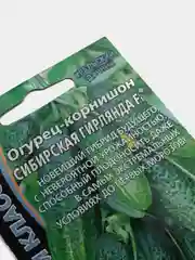 Огурец "Сибирская гирлянда", семена