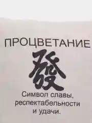 Подушка декоративная CoolPodarok "Процветание. Фен шуй"