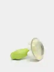 Птичка с магнитиками