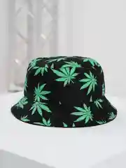 Черный панама