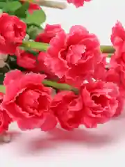 Фуксия букет искусственных цветов, 21 бутон, 37 см