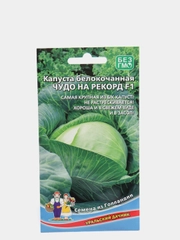 Капуста Уральский дачник "Чудо на рекорд F1"