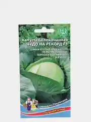 Капуста Уральский дачник "Чудо на рекорд F1"