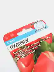 Семена Томат Пудовик, 20 штук, Сибирский сад