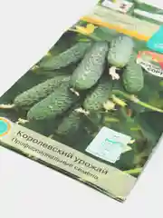 Огурец Мадагаскар F1 0,25г / Евро - семена