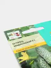 Огурец Мадагаскар F1 0,25г / Евро - семена