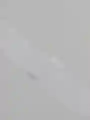 Белый термоклеевая паутинка