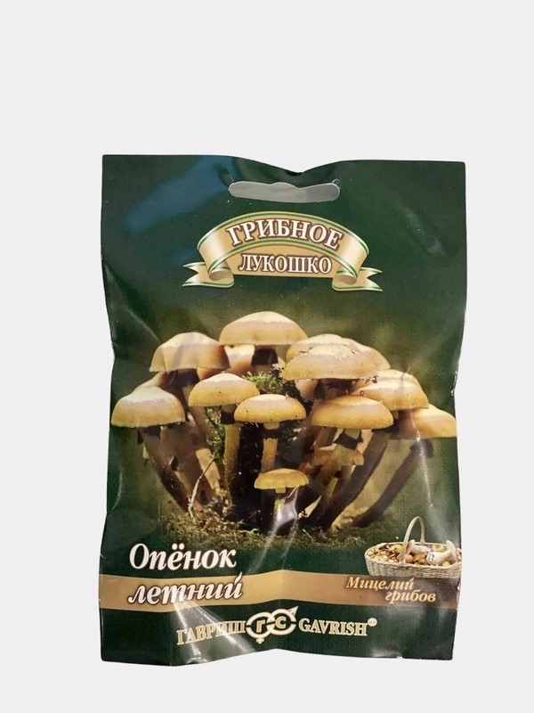 Грибы Опенок летний (семена)