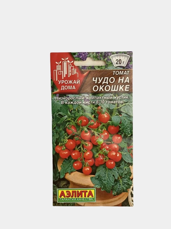 Семена "Томат Чудо на окошке"
