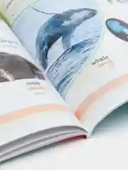 Алый книга для детей по изучению английского языка "500 английских слов", 5+