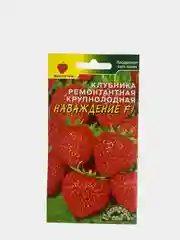 Семена клубники "Наваждение"