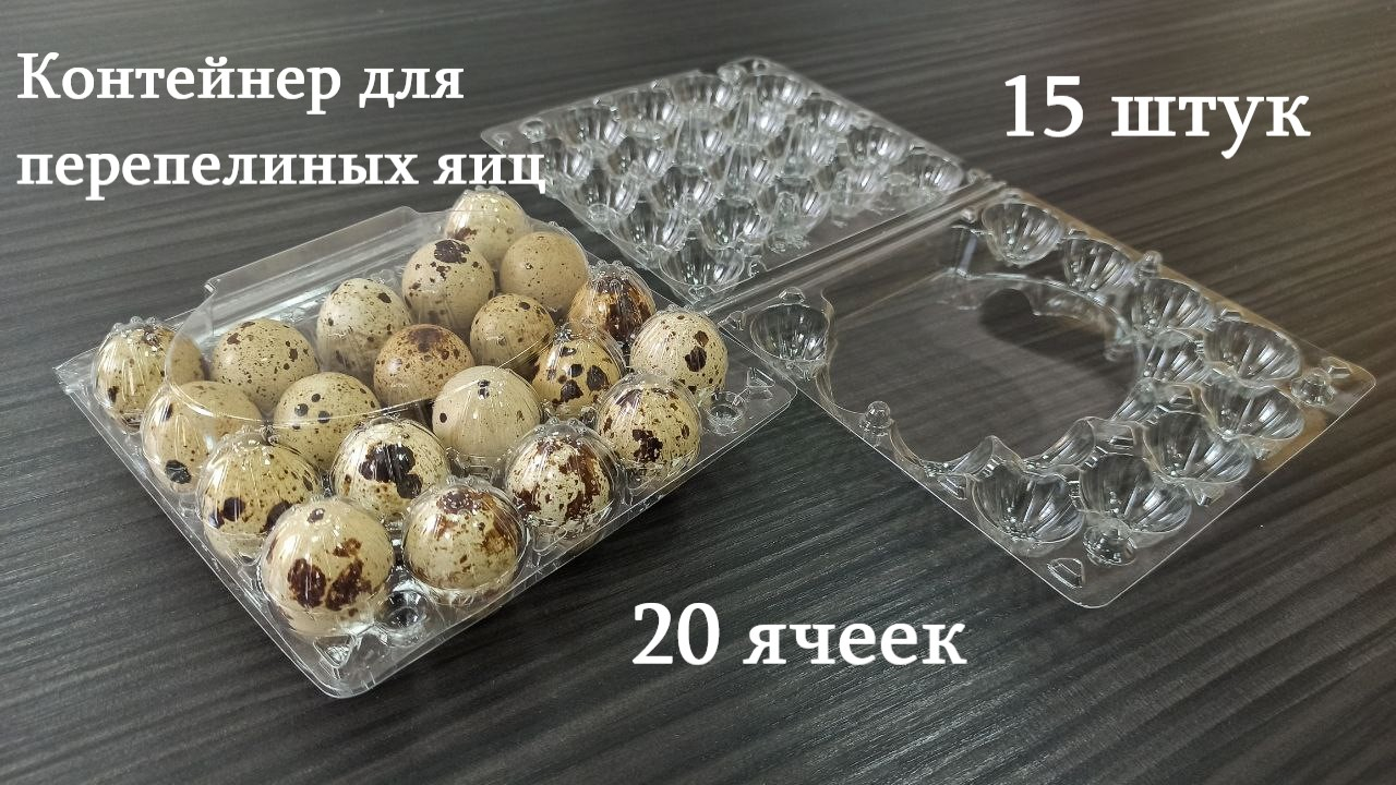 Упаковка для перепелиных яиц (контейнеры, лотки, бугорчатые прокладки, коробки)