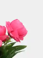 Алый искусственные цветы: пионы, розы, осока, растения, зелень