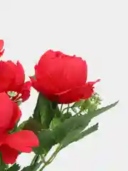 Красный искусственные цветы: пионы, розы, осока, растения, зелень