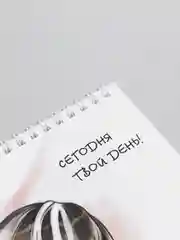 Бронзовый блокнот на пружине формата А5