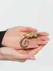 Бирюзовый брошь "Хамелеон"