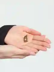 Золотистый хаки брошь на булавке