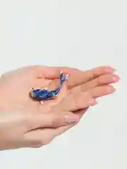 Золотой брошь рыбка