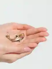 Золотой брошь рыбка