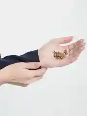 Золотой брошь