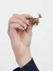 Золотой брошь