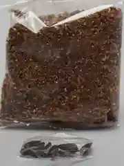 Желтый керамический цветочный горшок "Котята"