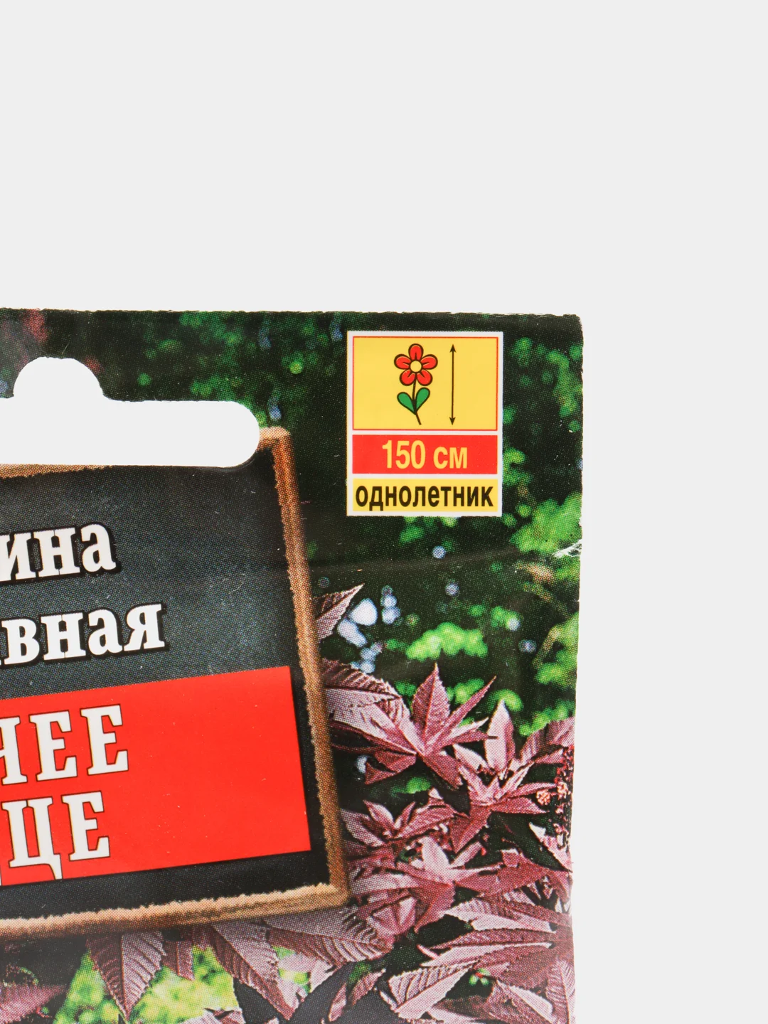 Семена Аэлита Клещевина Горячее Сердце