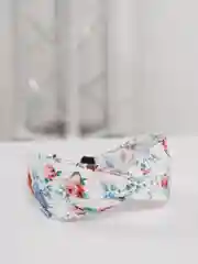 Белый ободок